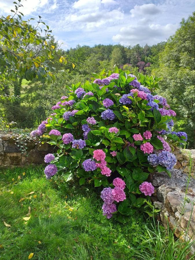 Gite Moulin De Ludieras Busserolles 외부 사진